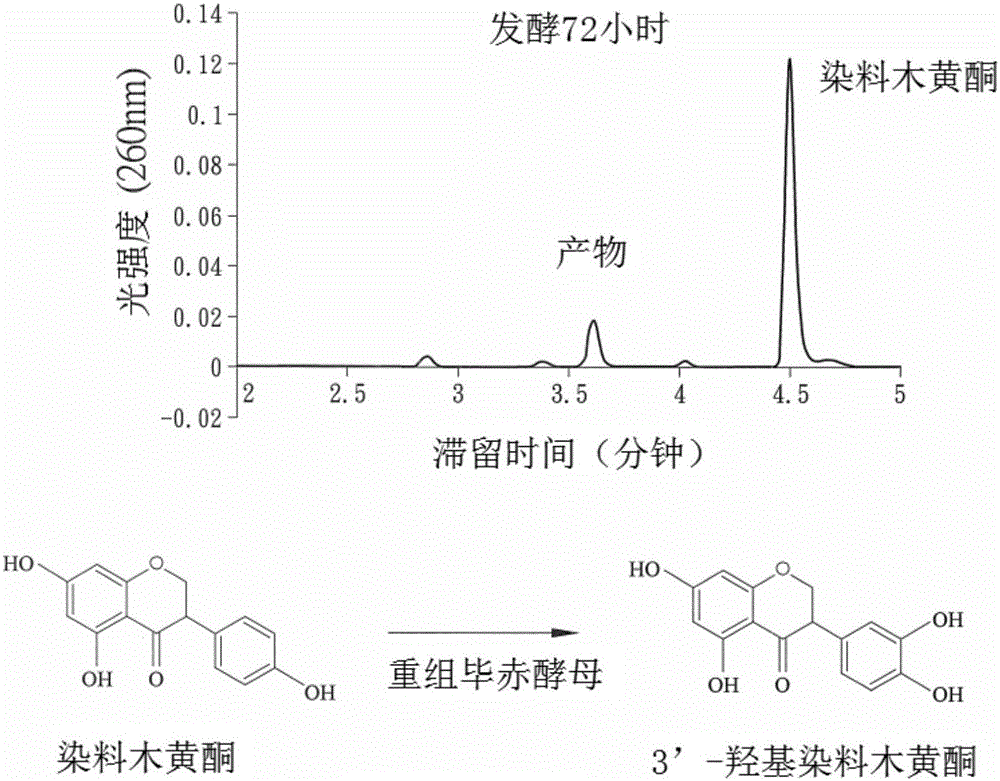 ‘太阳成集团tyc7111cc’不让座的人就是“缺德没素质”吗?(图1) 太阳成tyc7111