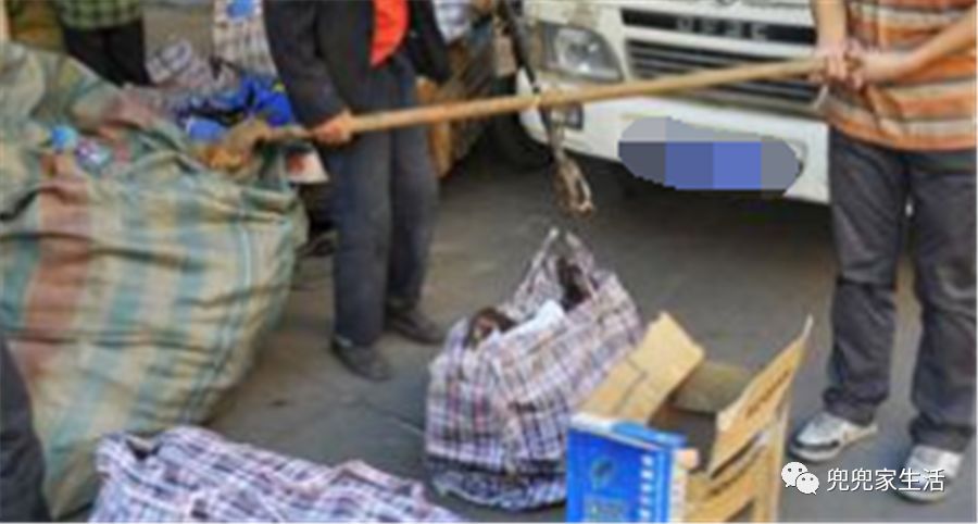 打乒乓球,健脑护眼好处多‘太阳成tyc7111’(图2) 太阳成集团tyc7111cc