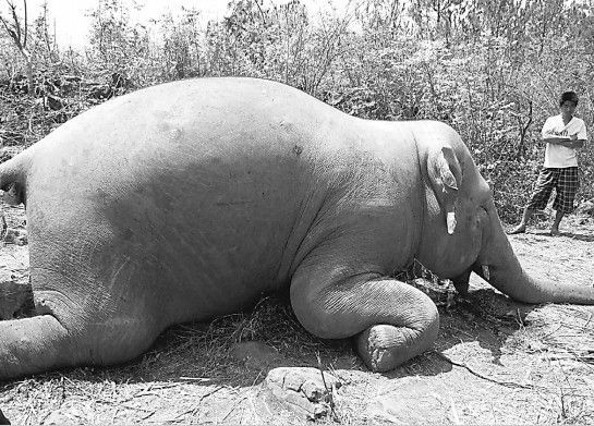 “追星致航班延误”亟待黑名单制度发力‘太阳成集团tyc7111cc’(图3) 太阳成tyc7111