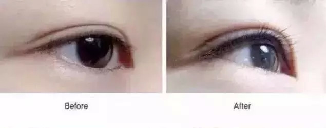 科学家解读流感病毒:或可用大数据预测流感暴发“太阳成tyc7111cc”(图3) 太阳成tyc7111cc