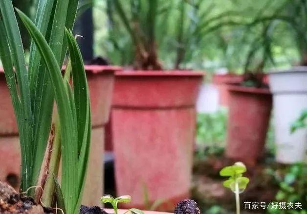 辽宁一男子当街行凶 致7人死亡7人受伤 官方通报:抨击社会|太阳成tyc7111cc(图5) 太阳成tyc7111cc