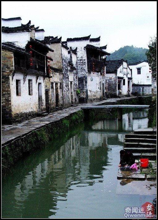 【太阳成集团tyc7111cc】救助站的阳光岂能照进私人会所里?(图3) 太阳成tyc7111cc