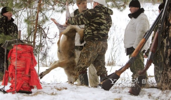 “改名手术”有风险,盲目为之不可取|太阳成tyc7111(图2) 太阳成tyc7111cc