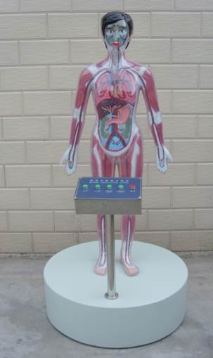 ‘太阳成tyc7111cc’汤臣倍健一季度净利润增161%(图2) 太阳成tyc7111cc