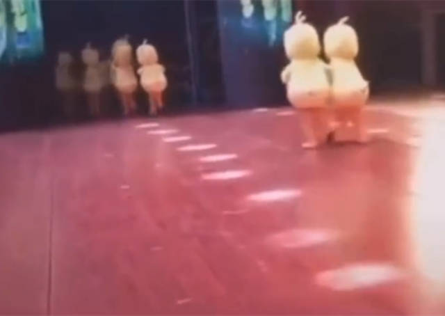 ‘太阳成tyc7111cc’市场上金蒲桃价格怎样?多少钱一棵?有什么特征?(图1) 太阳成集团tyc7111cc