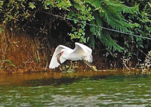 太阳成集团tyc7111cc:大趋势走弱之下 上汽大众为何能跑赢市场50%(图1) 太阳成tyc7111cc