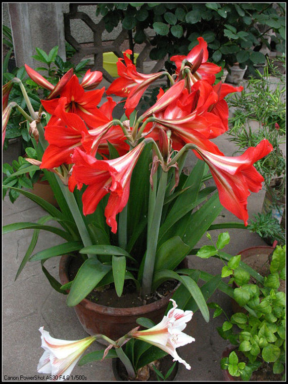 ‘太阳成集团tyc7111cc’卫计委:去年职业病九成是尘肺病(图1) 太阳成集团tyc7111cc