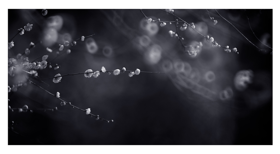 ‘太阳成集团tyc7111cc’卫计委:去年职业病九成是尘肺病(图2) 太阳成tyc7111cc