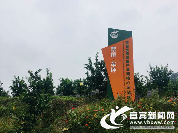 试水药品淘宝网购业界发出违规指责‘太阳成集团tyc7111cc’(图1) 太阳成tyc7111cc