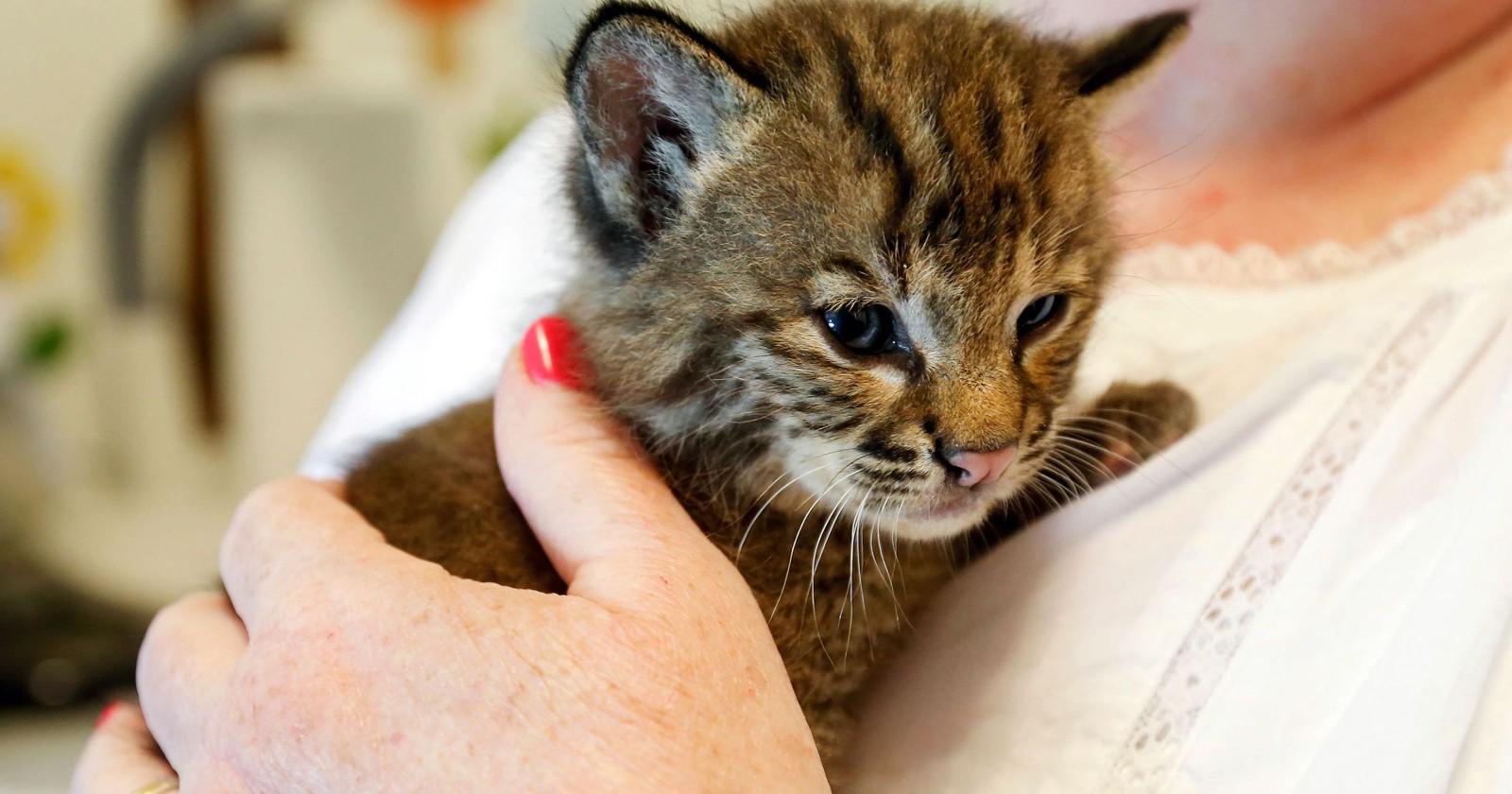 从大滑坡到逆势增长,北现经历了哪些不为人知的故事-太阳成tyc7111(图3) 太阳成tyc7111cc