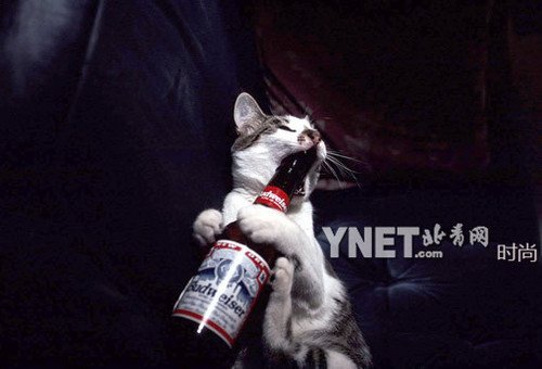 太阳成tyc7111:三伏天吃什么好呢 三伏天养生(图3) 太阳成tyc7111cc