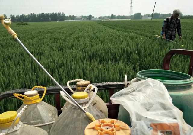 路美:用心敬畏生命:太阳成tyc7111(图3) 太阳成tyc7111