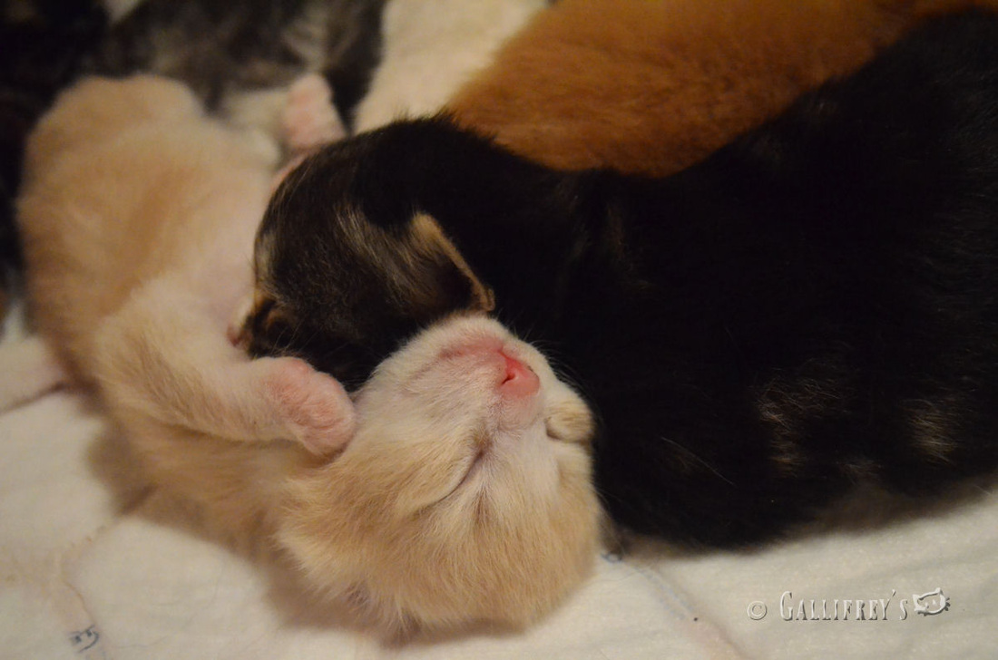 太阳成tyc7111cc:“入厕刷卡冲水”一点也不为过(图1) 太阳成tyc7111cc