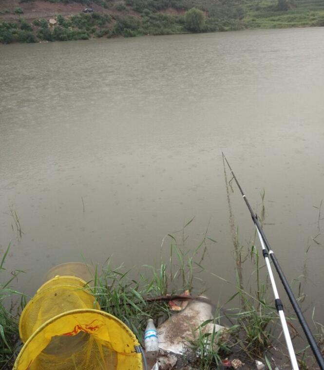 太阳成集团tyc7111cc