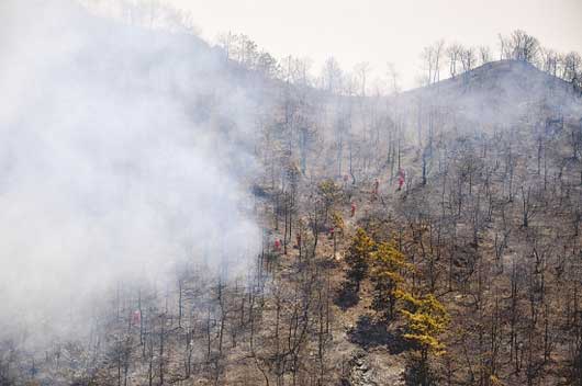 顺应潮流者“与时代同行”“太阳成tyc7111cc”(图1) 太阳成集团tyc7111cc