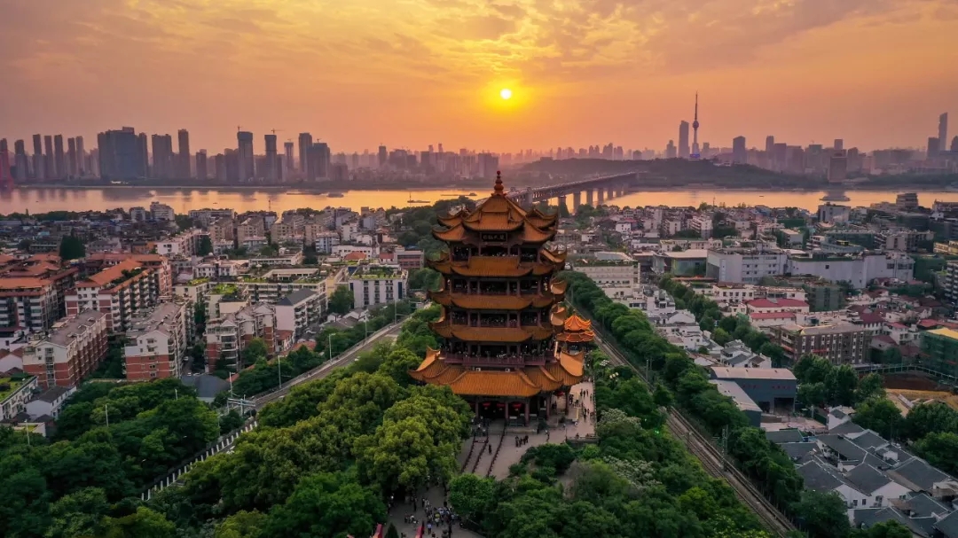 【太阳成集团tyc7111cc】无公害梨整枝修剪技术(图3) 太阳成tyc7111