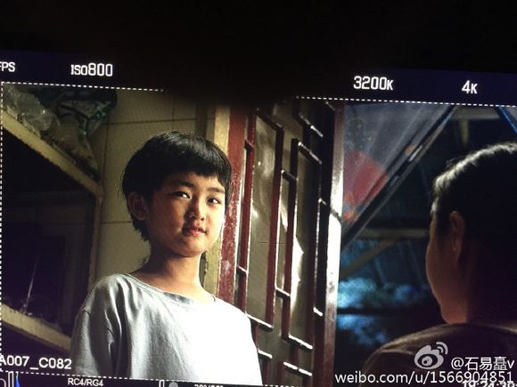 熊猫兔幼兔怎么养?熊猫兔幼兔吃什么?“太阳成tyc7111cc”(图2) 太阳成tyc7111cc