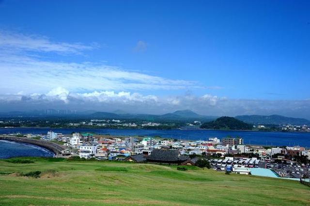 太阳成tyc7111cc:最新禁限用农药名录发布!禁用和限用是一码事吗?为何要禁限用?(图2) 太阳成tyc7111cc