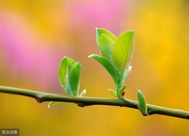 Python智能合约教程之合约升级“太阳成tyc7111”(图2) 太阳成tyc7111