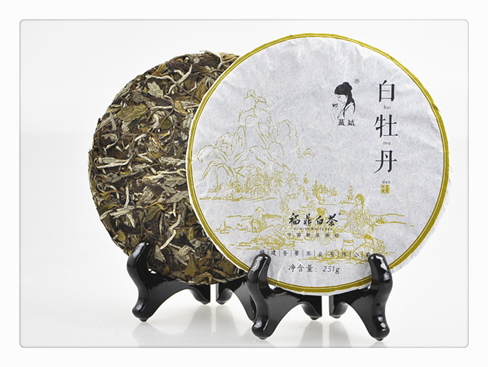 太阳成tyc7111cc_乳腺癌居女性恶性肿瘤首位,首个防治一体化中心落地大连(图2) 太阳成集团tyc7111cc