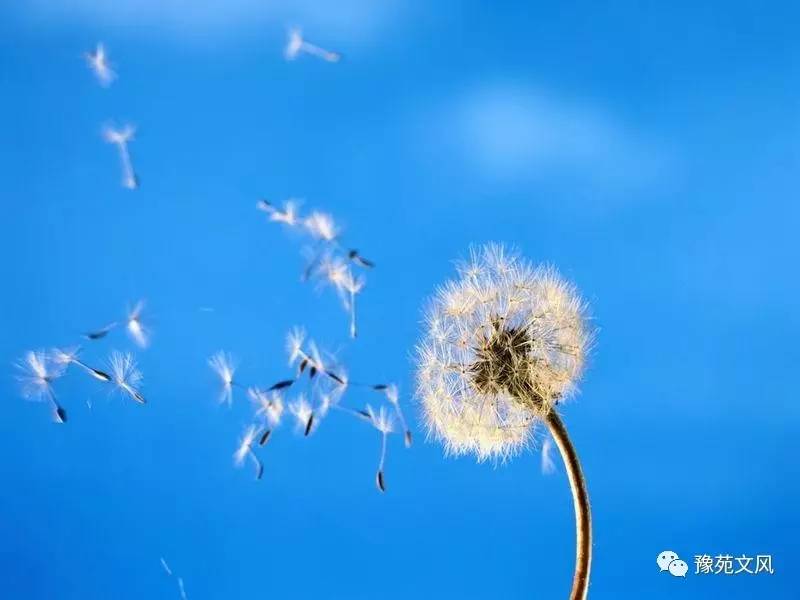 让“文明祭祀”成为一种习惯【太阳成tyc7111】(图1) 太阳成tyc7111