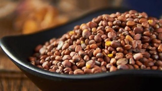 太阳成集团tyc7111cc