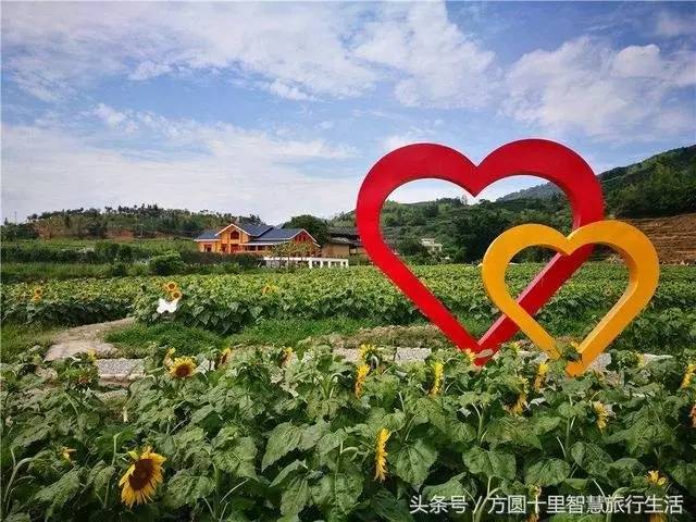 我国率先完成芝麻大规模全基因组关联分析:太阳成集团tyc7111cc(图3) 太阳成tyc7111cc