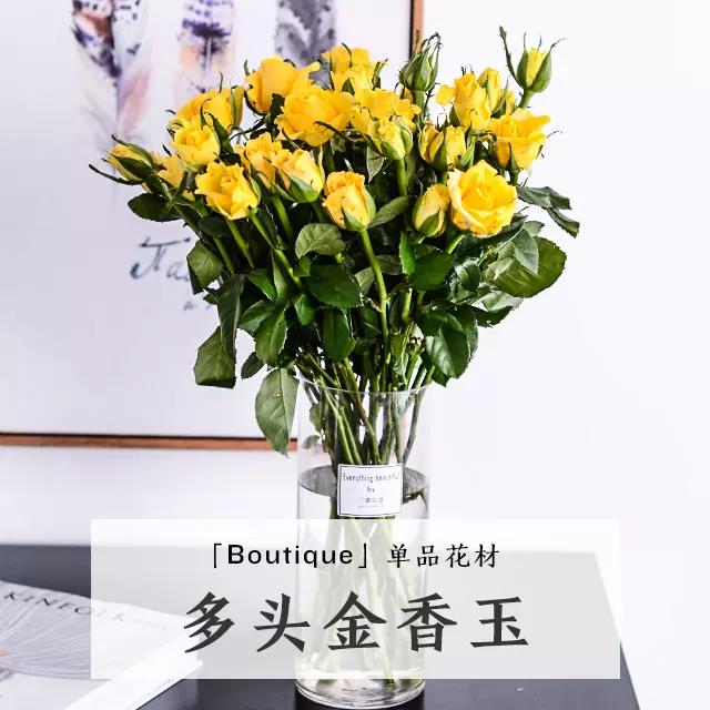 太阳成tyc7111-
属猪六合贵神图 手机壁纸那里有?(图2) 太阳成tyc7111cc