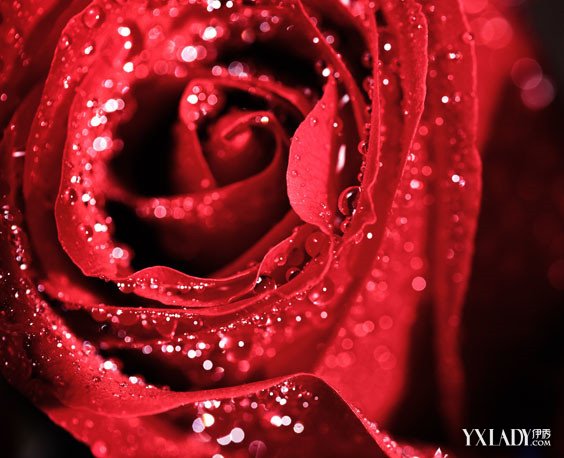 豆浆这样喝 有效缓解肾阳虚水肿|太阳成tyc7111cc(图2) 太阳成tyc7111