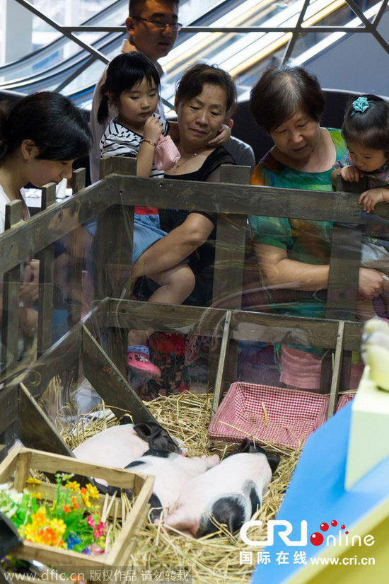 百香果种植香了一片山:太阳成tyc7111(图3) 太阳成tyc7111cc