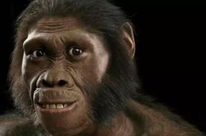 太阳成集团tyc7111cc-我国成人高尿酸患病率超20%(图1) 太阳成集团tyc7111cc