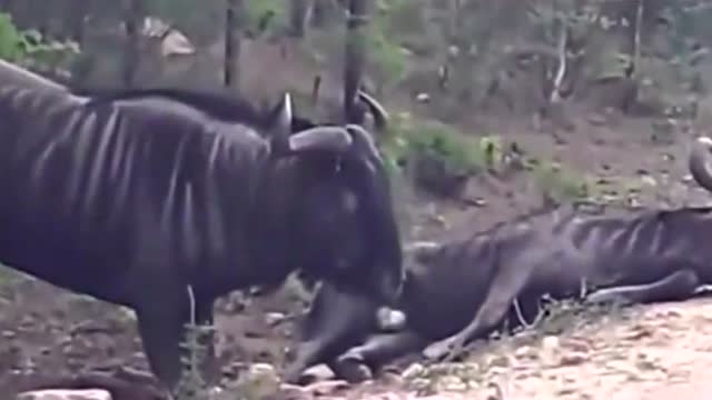 【太阳成tyc7111cc】讲师课件:【中国的制度面临②】为什么中国特色社会主义制度好?(图1) 太阳成tyc7111cc