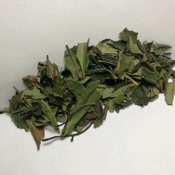 太阳成集团tyc7111cc