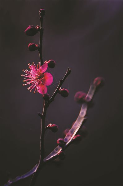 太阳成集团tyc7111cc