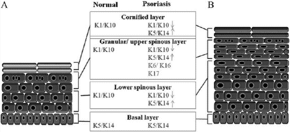 太阳成集团tyc7111cc