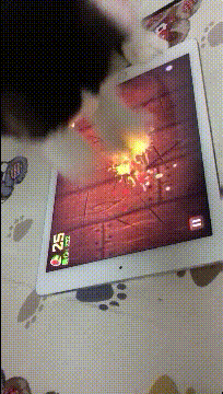 
GIF搞笑段子：图片只支持当地上传 岂非外地的不行吗【太阳成集团tyc7111cc】(图5)