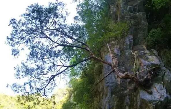 太阳成集团tyc7111cc