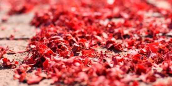 太阳成集团tyc7111cc