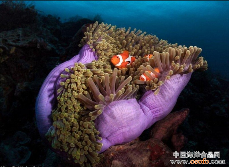 太阳成集团tyc7111cc